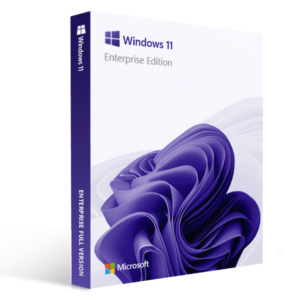 Windows 11 Enterprise 5 PC