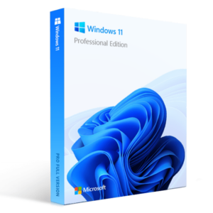 Windows 11 Professional 5 PC Digital License